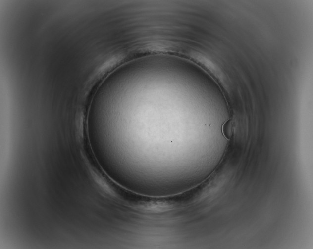 X0000088220445200705221807