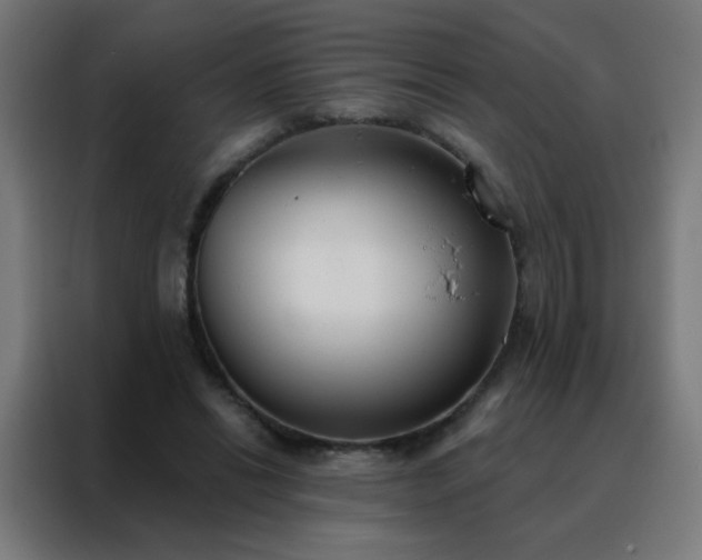 X0000088220446200705221807