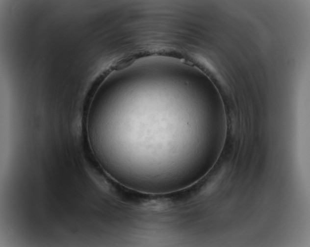 X0000088220447200705221807