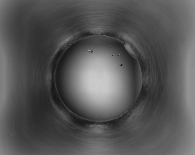 X0000088220448200705221807