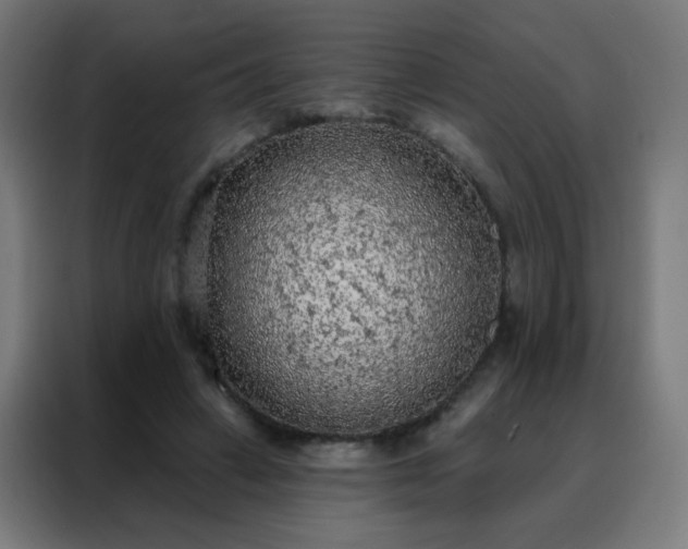 X0000088220449200705221807