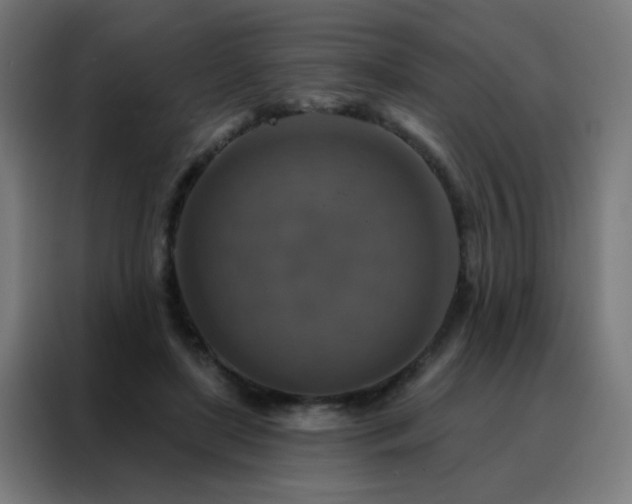 X0000088220451200705221807