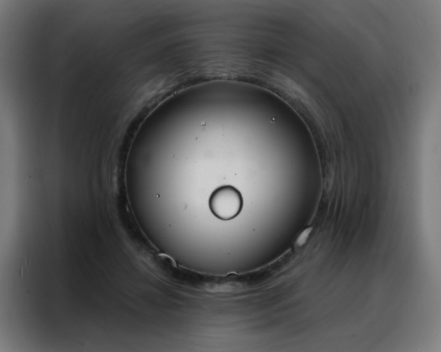 X0000088220452200705221807