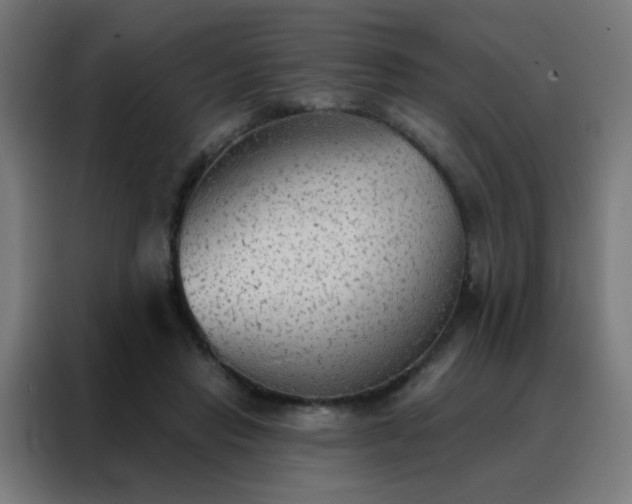 X0000088220453200705221807