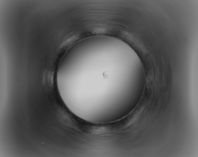 X0000088220454200705221807