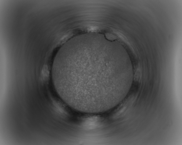 X0000088220456200705221807