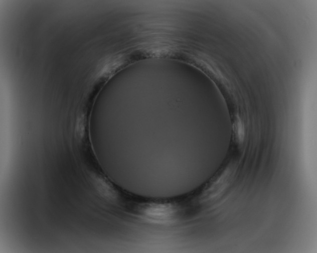 X0000088220458200705221807