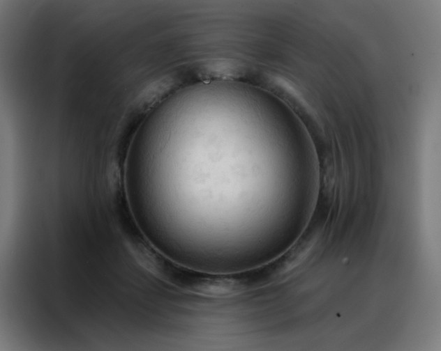 X0000088220459200705221807