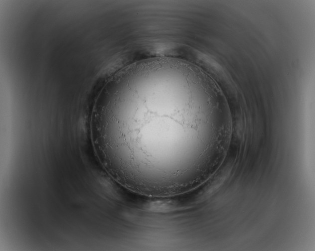 X0000088220461200705221807