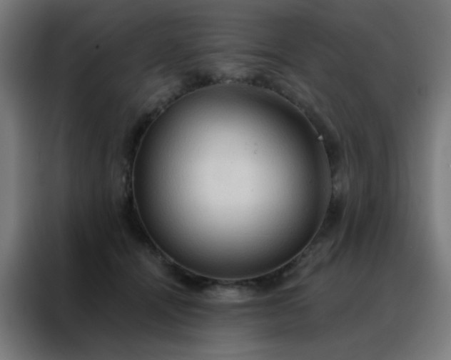 X0000088220464200705221807