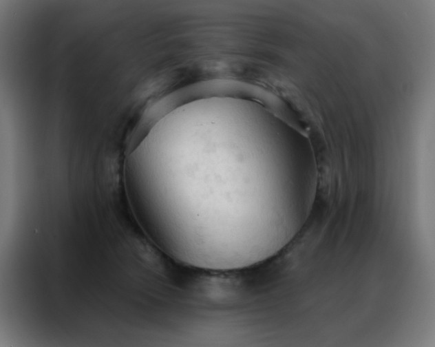 X0000088220466200705221807