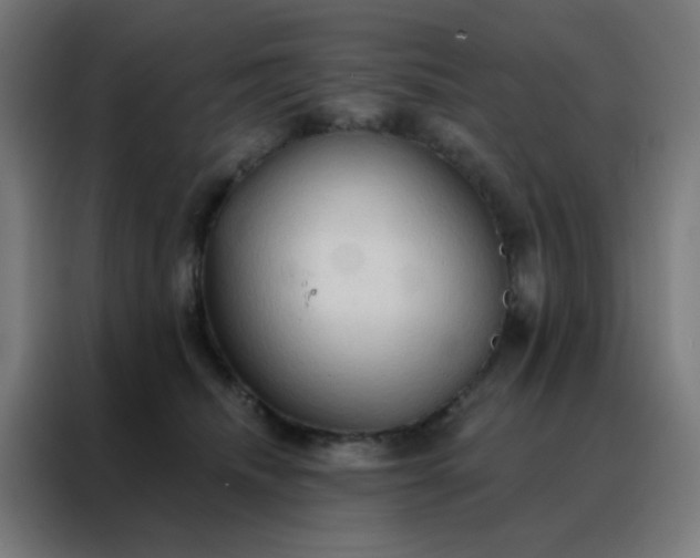 X0000088220468200705221807