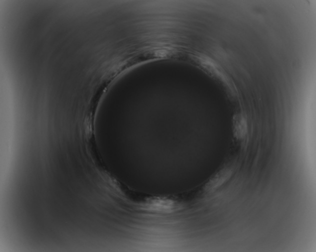 X0000088220471200705221807