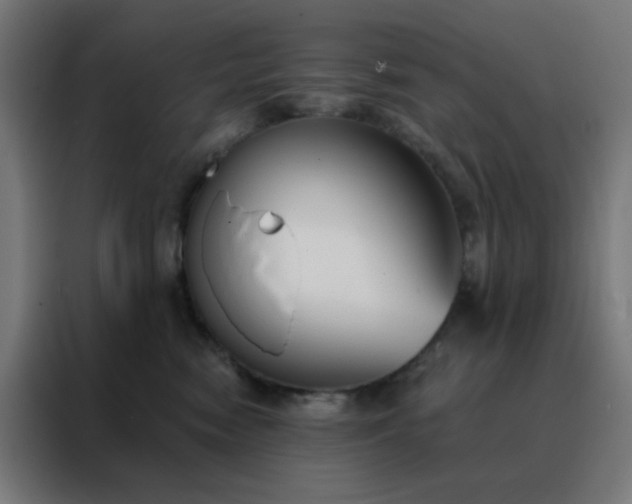 X0000088220474200705221807