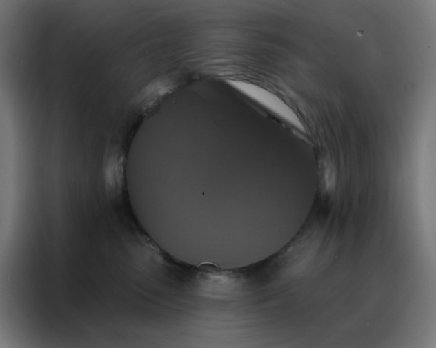 X0000088220475200705221807