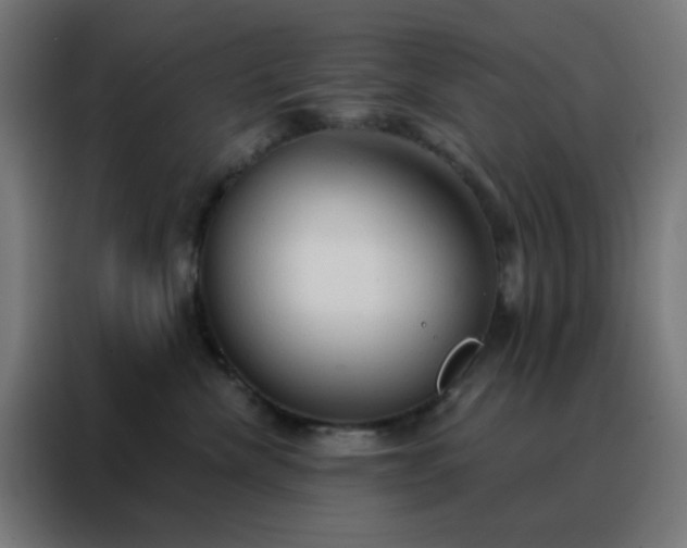 X0000088220476200705221807