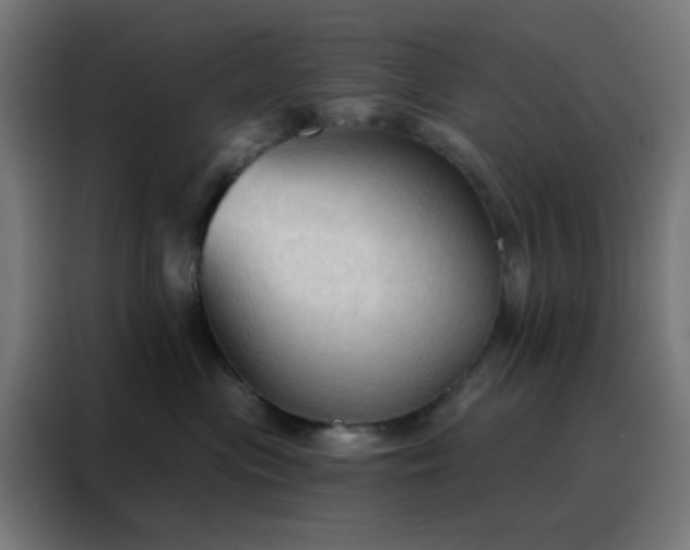 X0000088220477200705221807