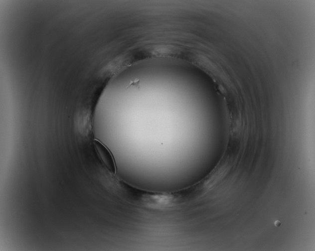 X0000088220478200705221807