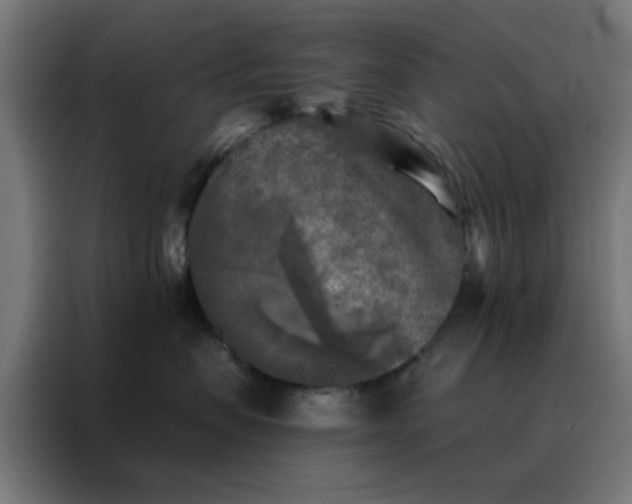 X0000088220479200705221807