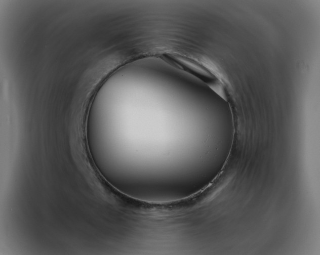 X0000088220481200705221807