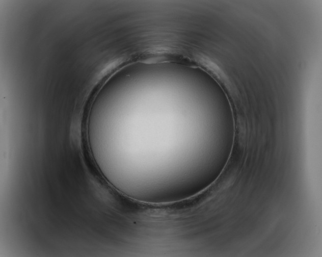 X0000088220482200705221807