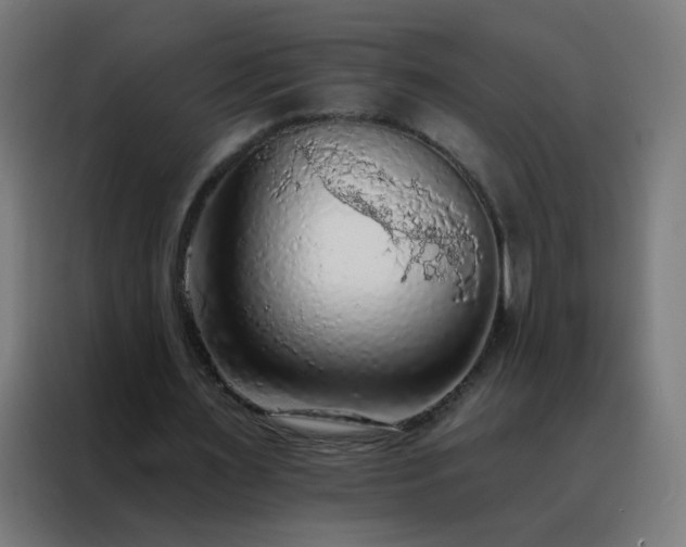 X0000088220483200705221807