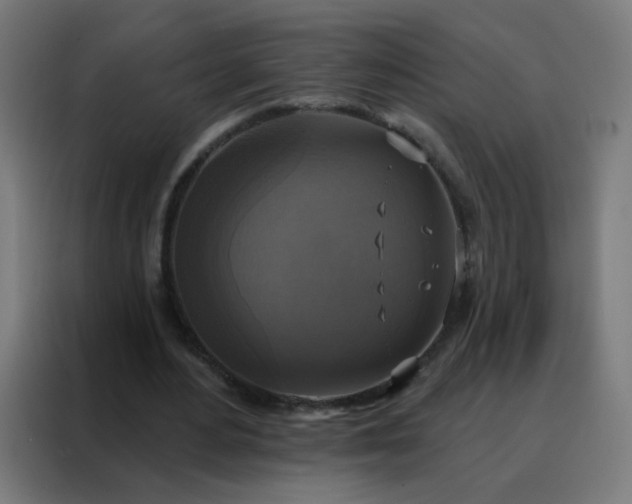 X0000088220484200705221807