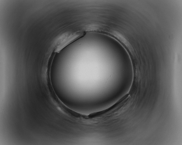 X0000088220485200705221807