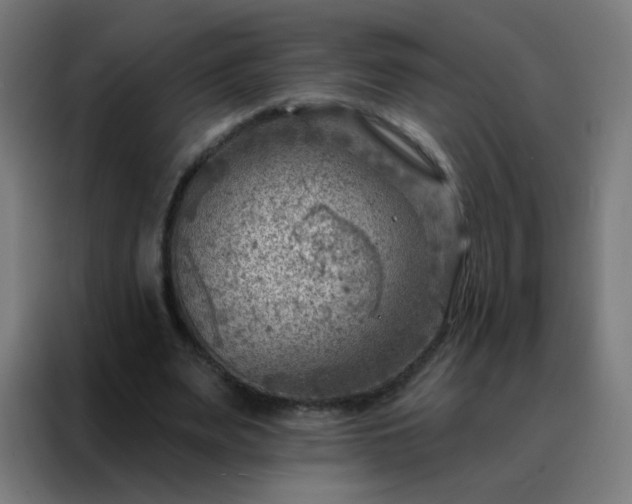 X0000088220487200705221807