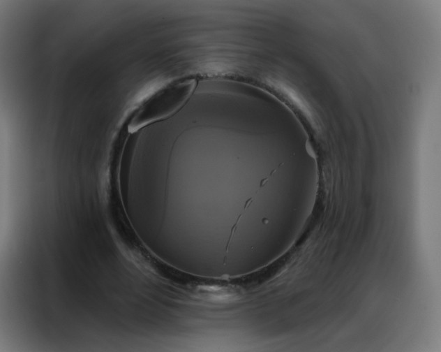 X0000088220488200705221807