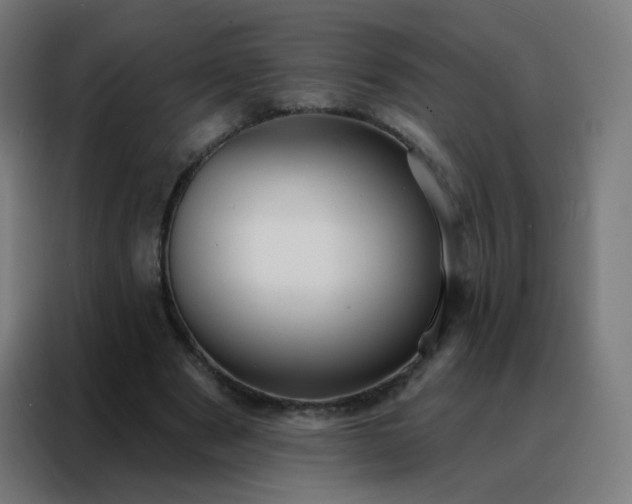 X0000088220489200705221807