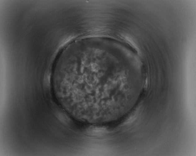 X0000088220491200705221807