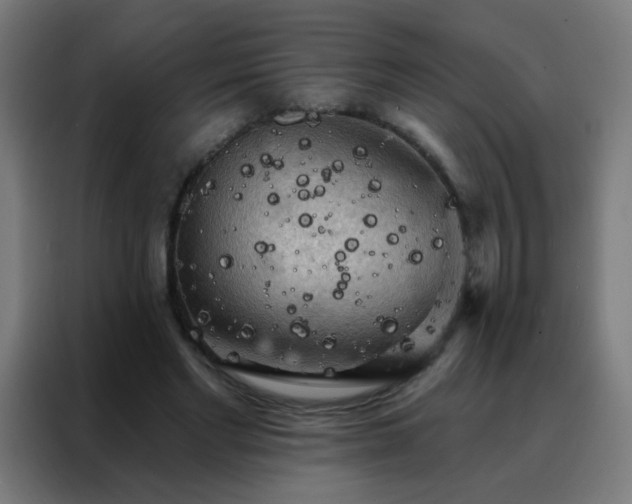 X0000088220493200705221807