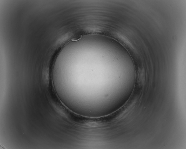 X0000088220494200705221807