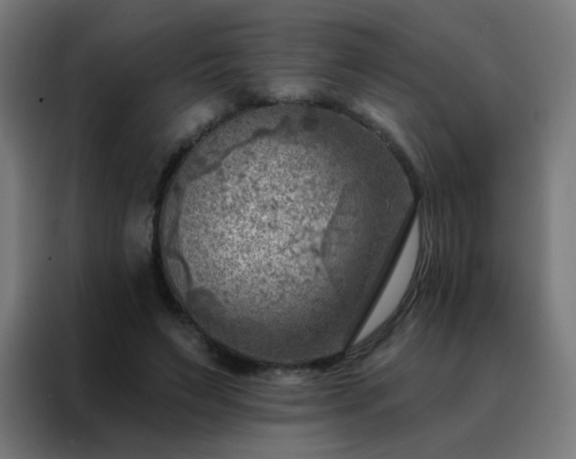 X0000088220495200705221806