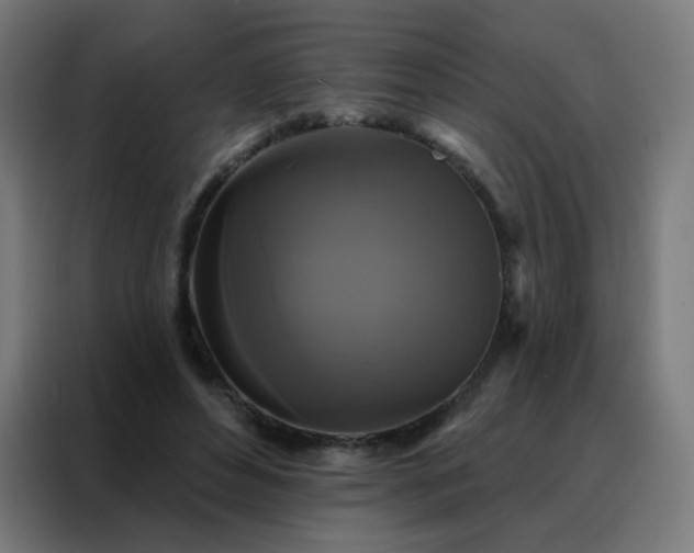 X0000088220496200705221806