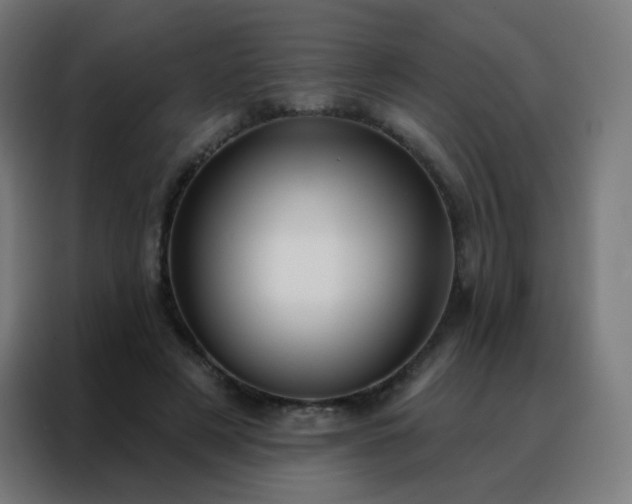 X0000088220497200705221806