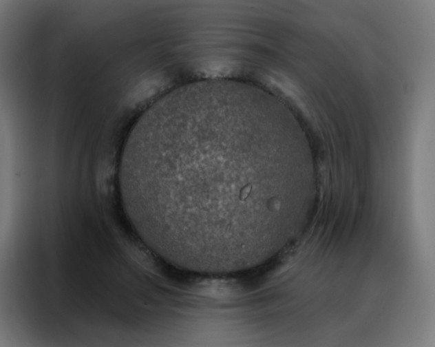 X0000088220499200705221806