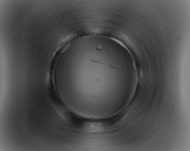 X0000088220500200705221806