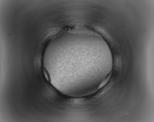 X0000088220501200705221806