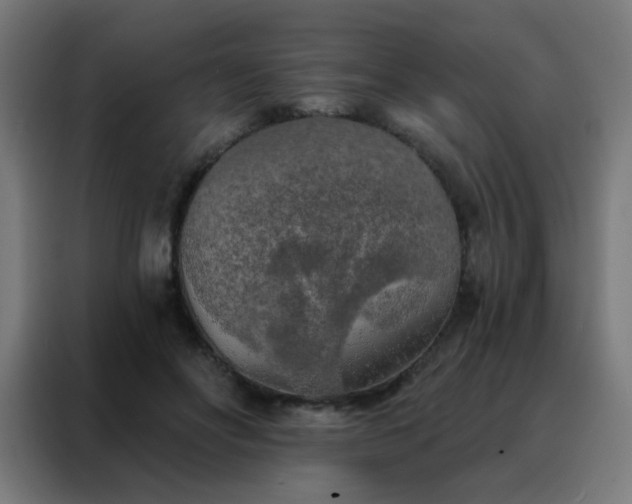 X0000088220502200705221806