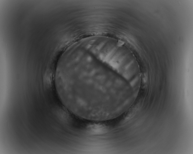 X0000088220503200705221806