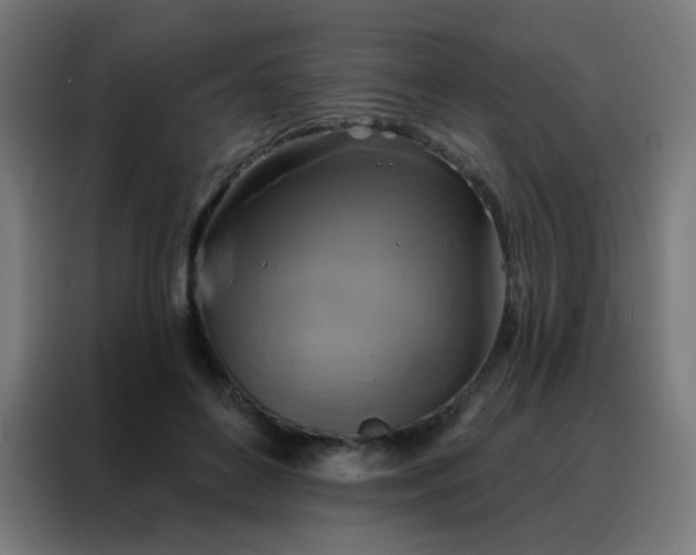 X0000088220504200705221806