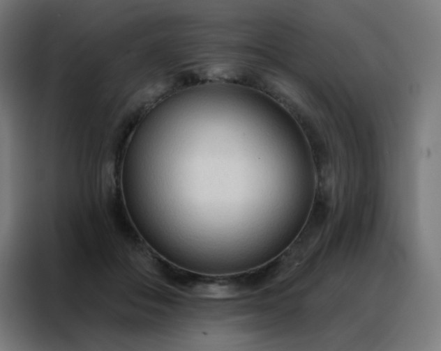 X0000088220506200705221806