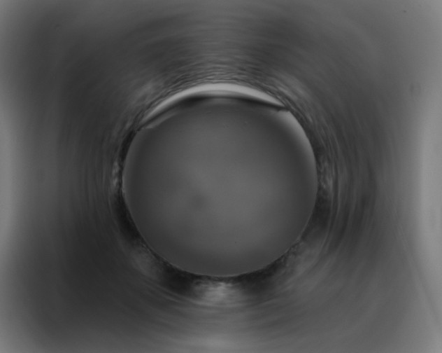 X0000088220507200705221806