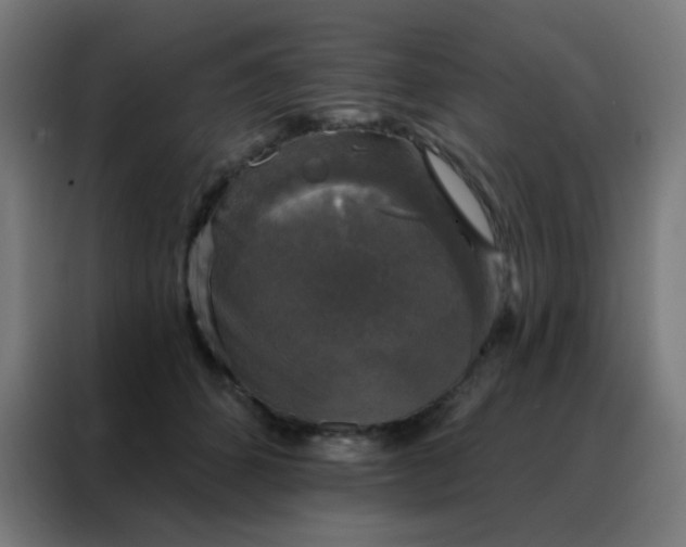 X0000088220512200705221806