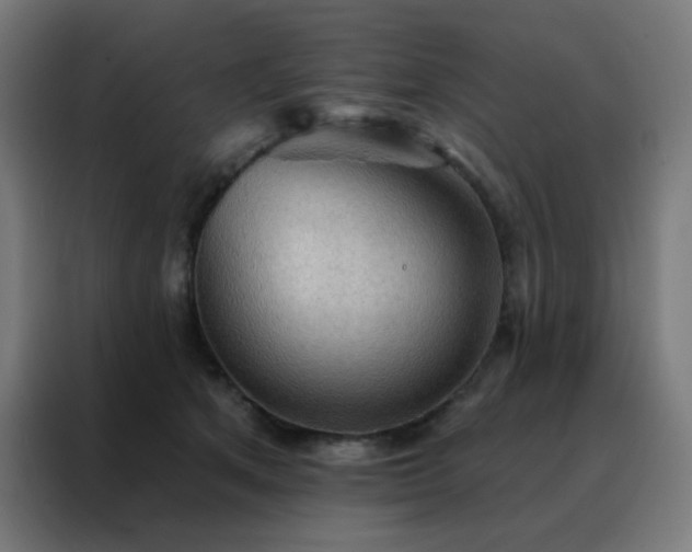 X0000088220513200705221806