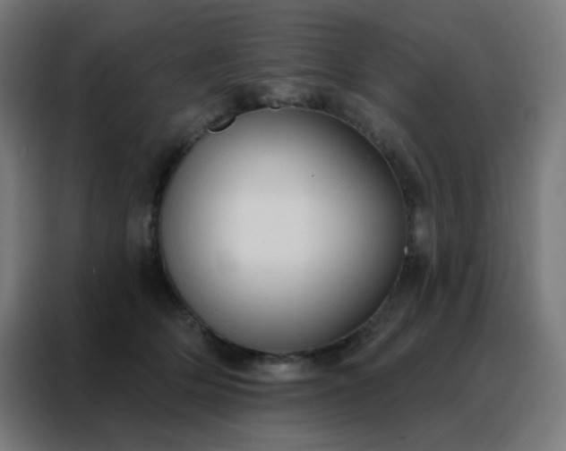 X0000088220514200705221806