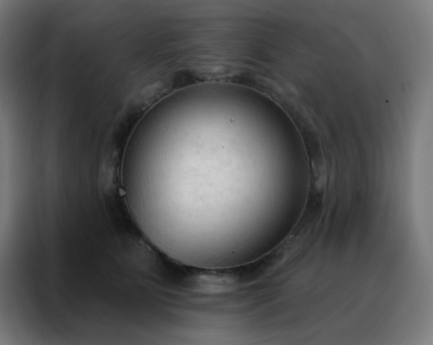 X0000088220515200705221806