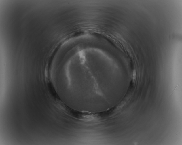 X0000088220516200705221806